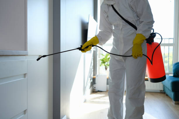 Best Residential Mold Removal  in Smithville Sanders, IN