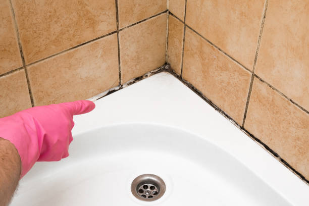 Smithville Sanders, IN Mold Removal Company